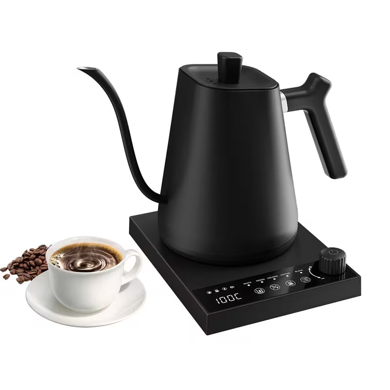 0.6-Liter Gooseneck Electric Kettle with Precision Temperature Control