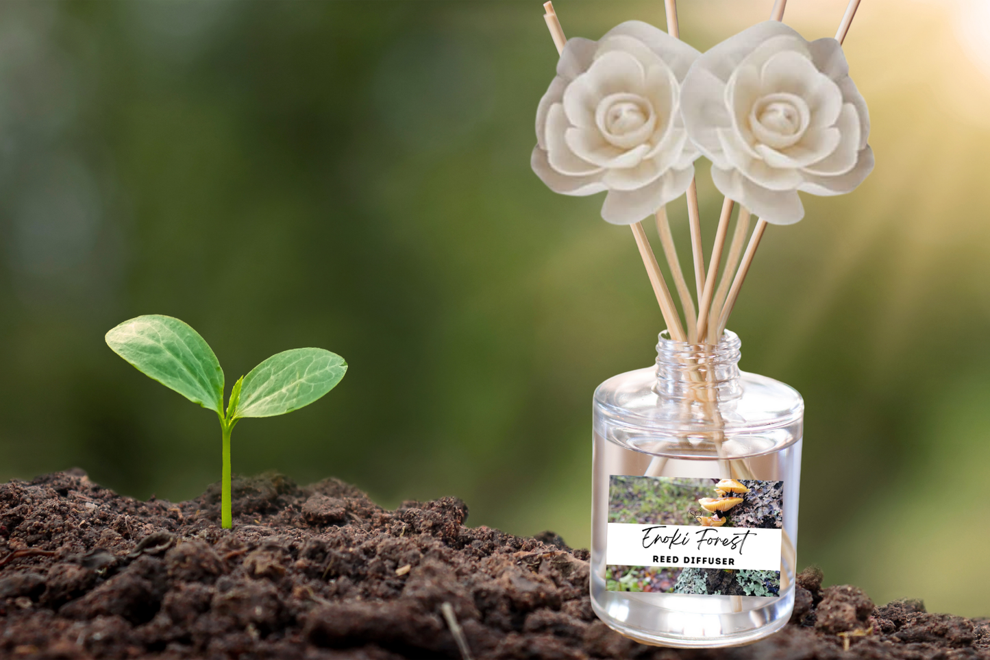 Exotic & Escape Reed Diffuser Collection – Tropical Scents with Mango, Pineapple, Hibiscus & Coconut