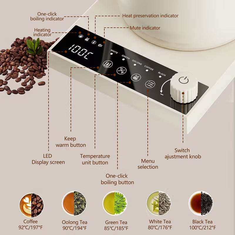 0.6-Liter Gooseneck Electric Kettle with Precision Temperature Control