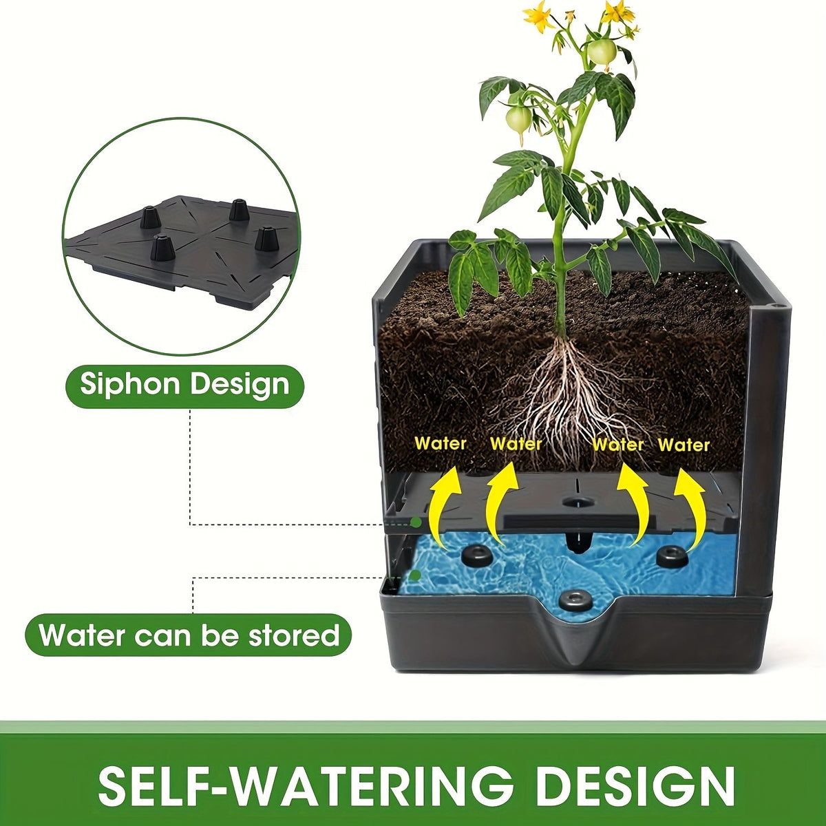 Self-Watering Tomato Planter with Trellis