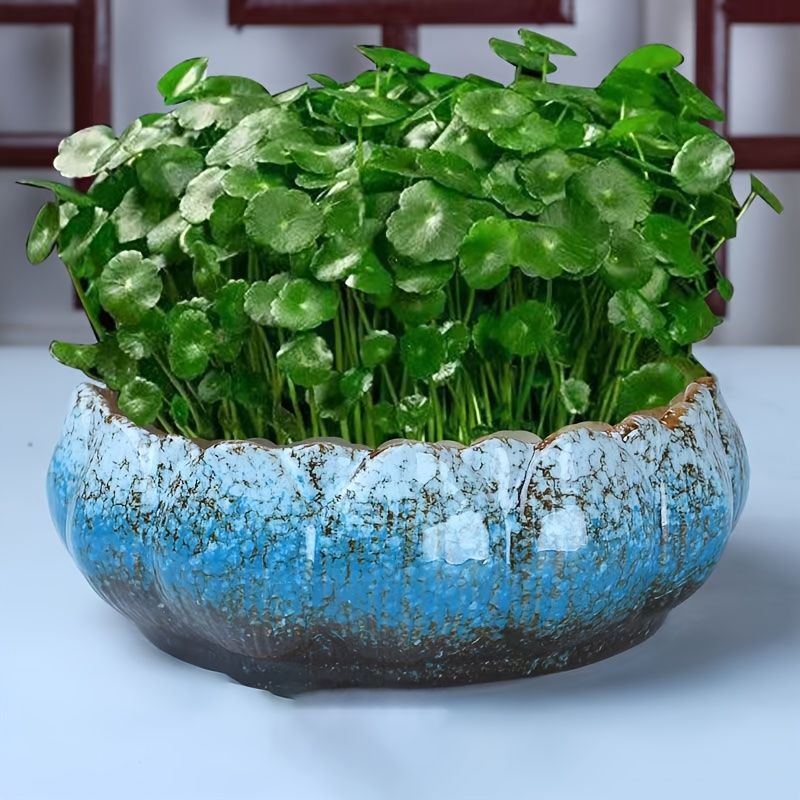 Hydroponic Ceramic Flower Pot for Water Lily and Lotus