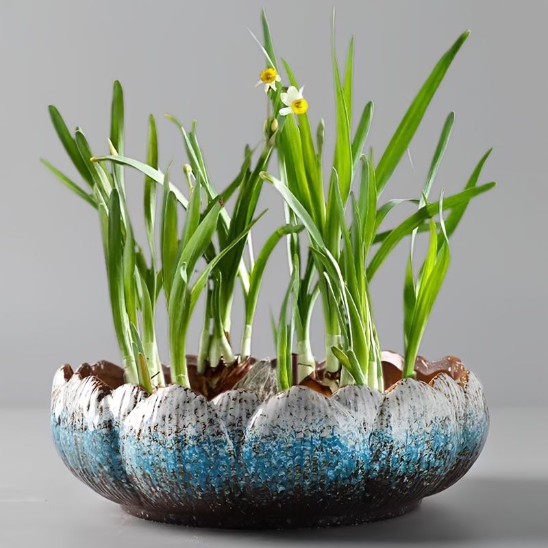 Hydroponic Ceramic Flower Pot for Water Lily and Lotus