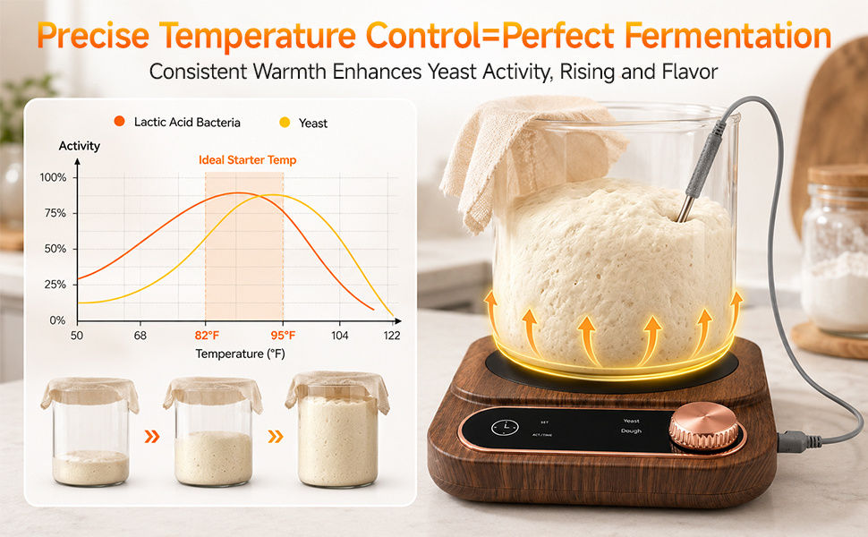 2-in-1 Sourdough Bread Maker with Temperature Probe