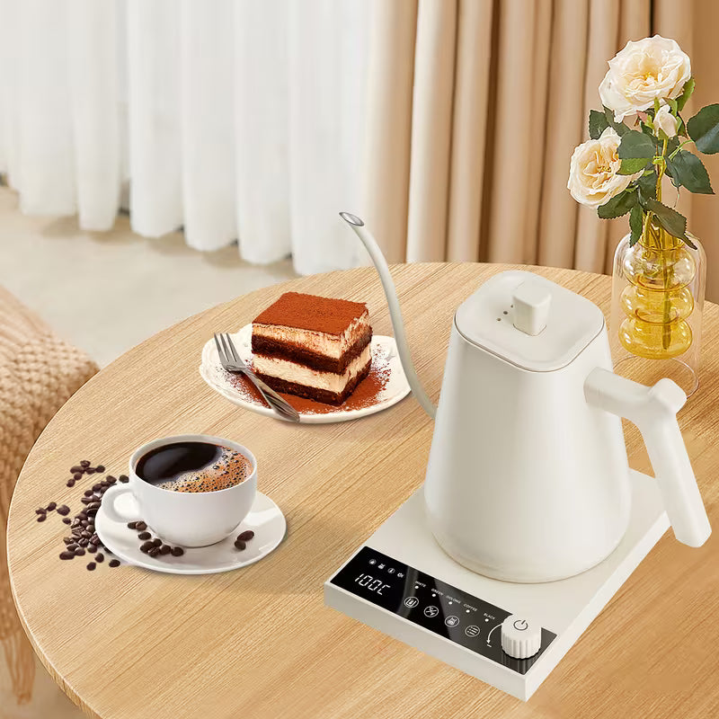 0.6-Liter Gooseneck Electric Kettle with Precision Temperature Control