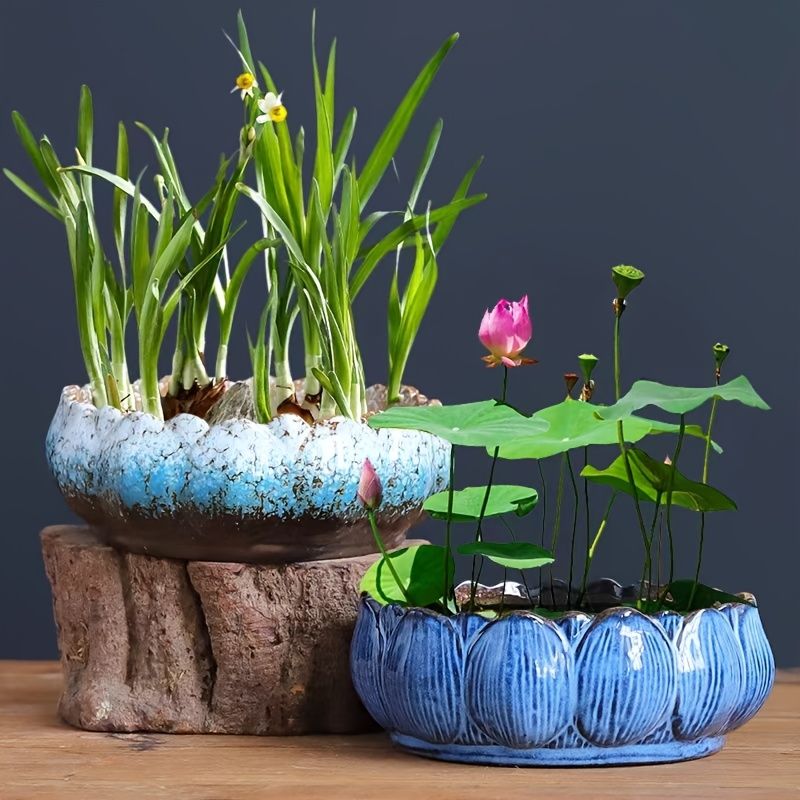 Hydroponic Ceramic Flower Pot for Water Lily and Lotus