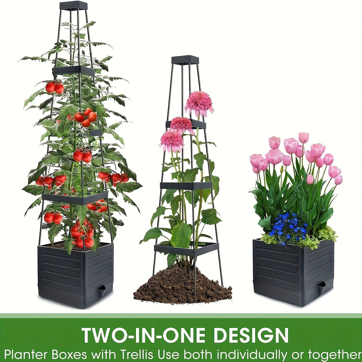 Self-Watering Tomato Planter with Trellis