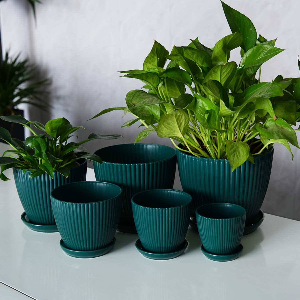 6 Pack Resin Planters Modern Stackable
