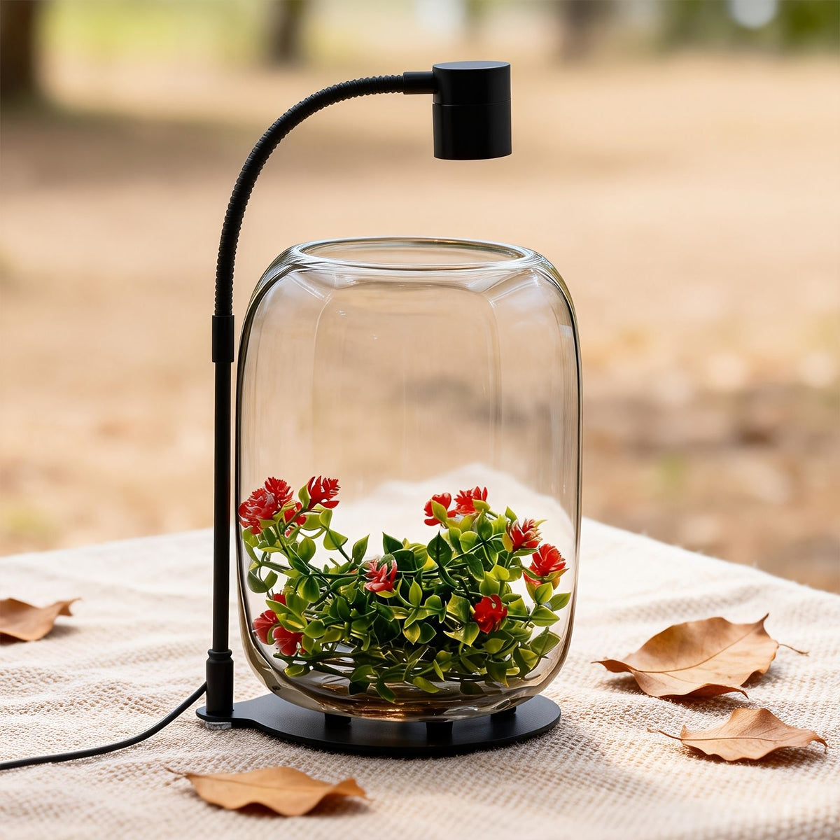 Open Top Glass Terrarium with USB Growth Light
