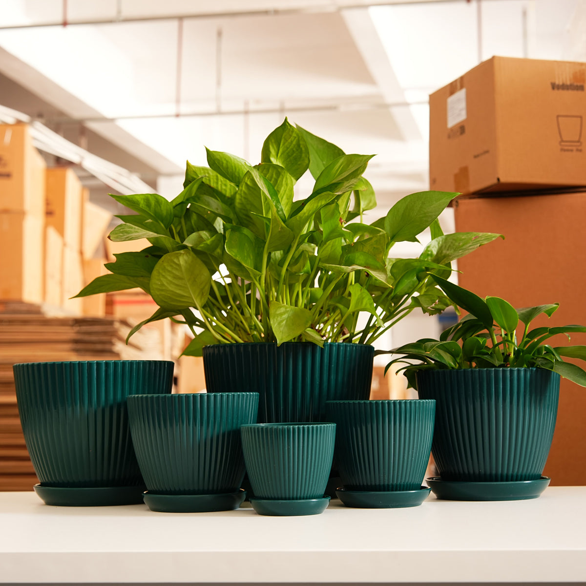 6 Pack Resin Planters Modern Stackable