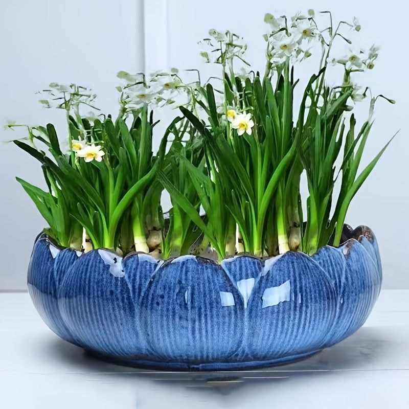 Hydroponic Ceramic Flower Pot for Water Lily and Lotus
