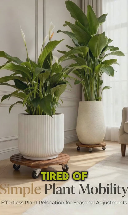 Rolling Wood Caddy with Lockable Wheels – 2 Pack Heavy Duty Pot Stand